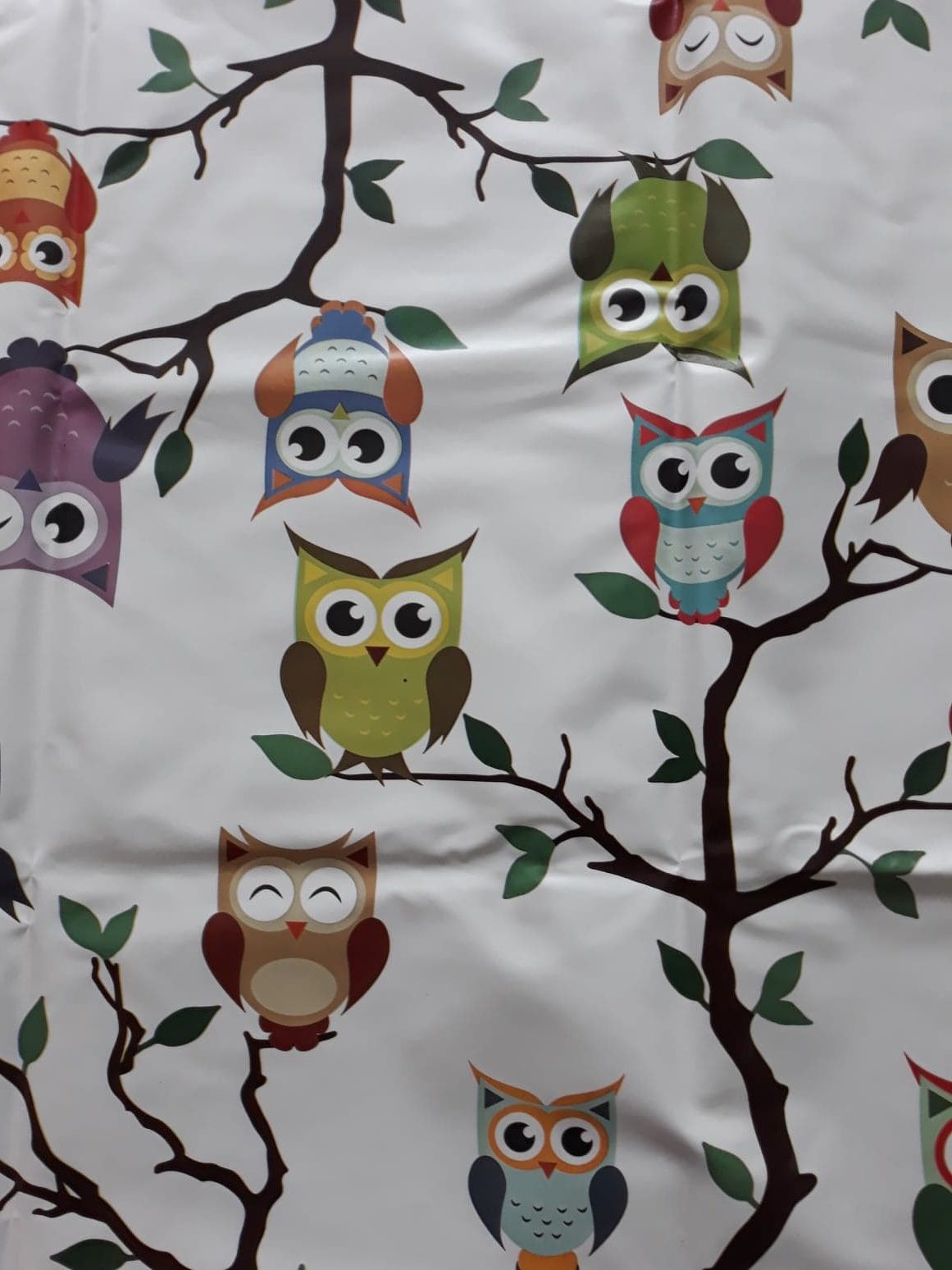 Tafelzeil Owls