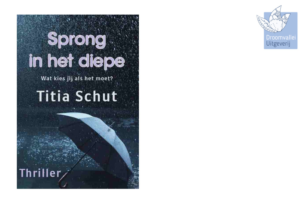 Sprong in het diepe || Titia Schut