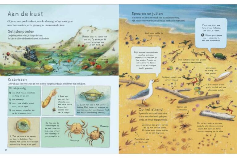 Op Ontdekking In De Natuur