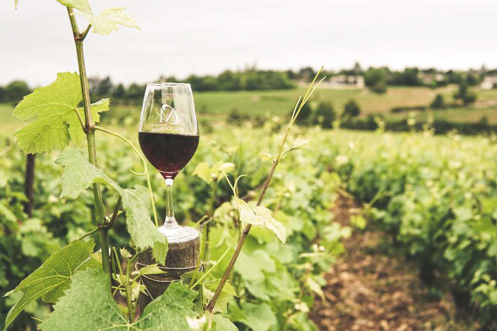 Mooie wijnen uit Frankrijk en Italië